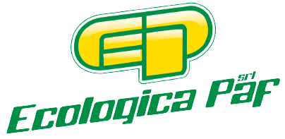 logo montini